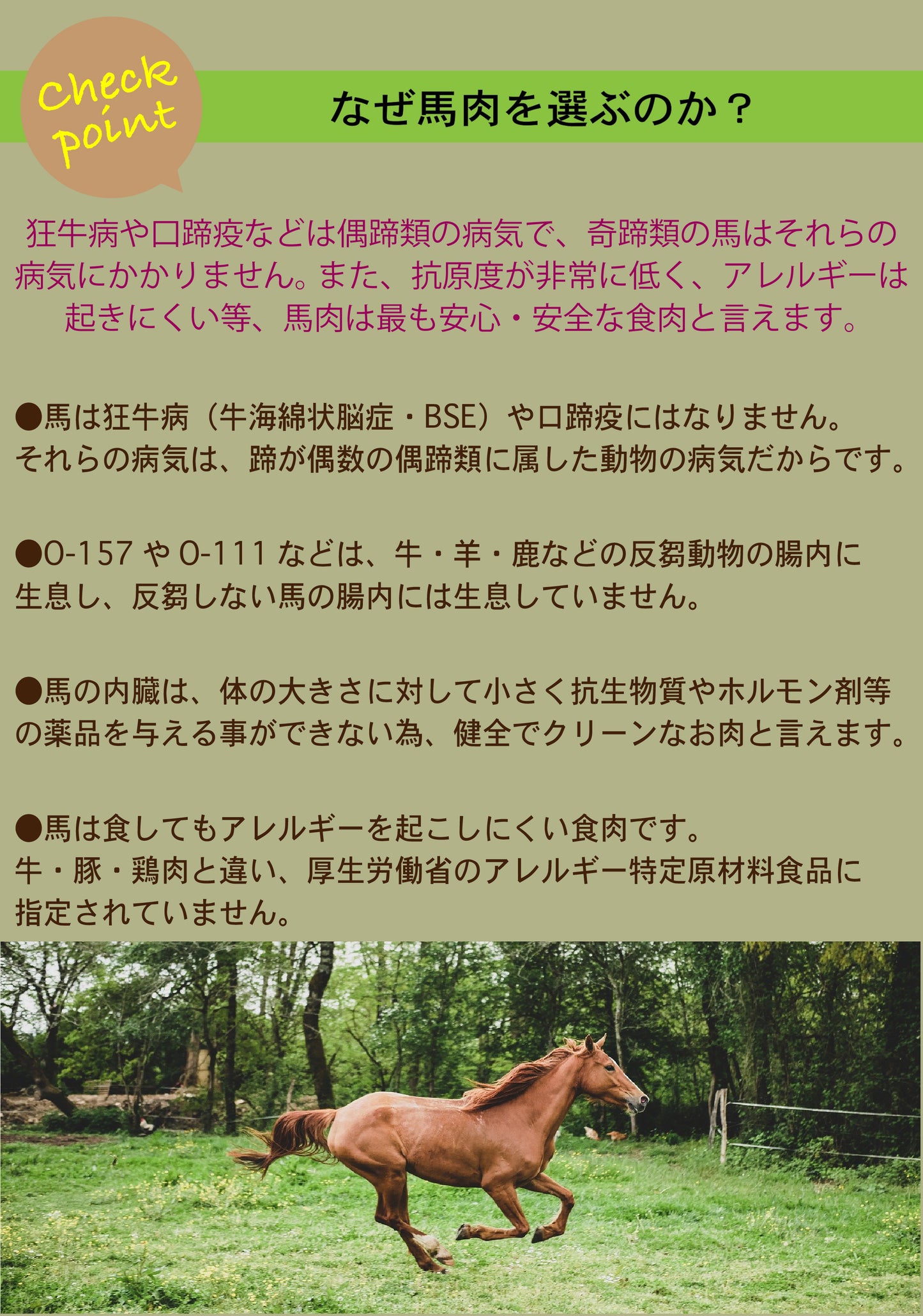 馬すじ 噛むことで歯垢・歯石の沈着を押さえ、口臭を軽減します。【おまとめセット】※歯の弱いワンちゃんには使用をお控えください。